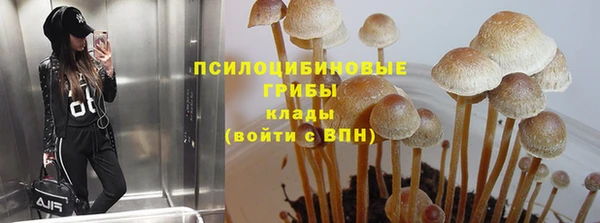 мяу мяу мука Армянск