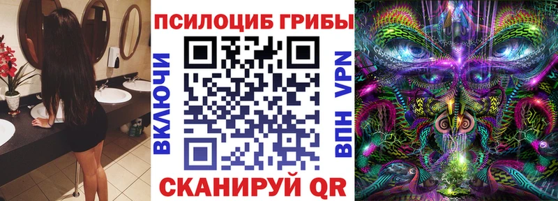 Псилоцибиновые грибы Psilocybine cubensis  Купить где  Ленинградская 