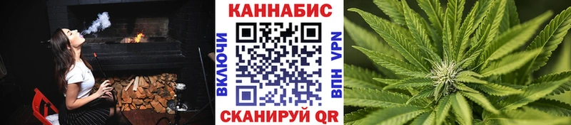 Купить где  Ленинградская  МАРИХУАНА ГИДРОПОН 